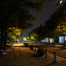 DSCF3508