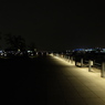 DSCF3528
