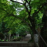 step