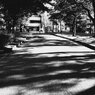 公園のひととき