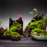 裏ワザ30　癒しの苔盆栽 里山の風景　コラボで！