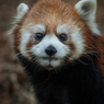 多摩動物公園