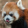 多摩動物公園