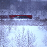 Snow blurring -Train- IV