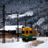 雪原の疾走