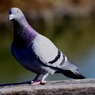 耳原公園にて