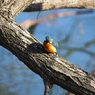 耳原公園にて