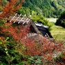 わらぶき屋根がある風景