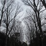 大学キャンパス