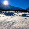 Snow Grassland
