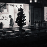 DSC04852