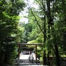 橋