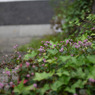 P1020246