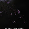P1020273