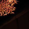 大徳寺・高桐院