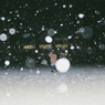 初雪スナップ_う