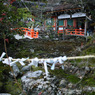 岩上