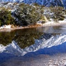 Reflection