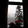 降雪の朝