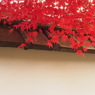 PC010443