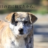 あの日