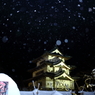 雪燈籠まつり XVI