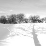 Walkin' in a Winter Wonderland - 9