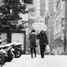 Snowing Tokyo