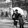 Snowing Tokyo