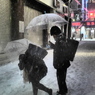 Snowing Tokyo