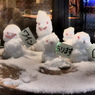 Snowing Tokyo