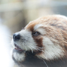 多摩動物公園