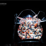 Art Aquarium