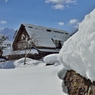 春恋し　雪の五箇山　光りけり