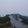 fade into Fog