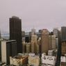 SF SKYLINE