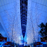 The tree of an airport