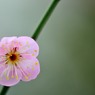 【道知辺】20140211