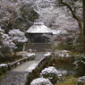 雪の法然院（2011）
