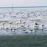 佐賀の海岸