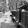 雪の武家屋敷通り　２