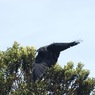 TAKE-OFF
