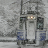 雪中