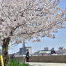 鶴見川