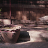 In Daily Life 01