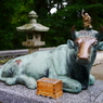 金剛証寺