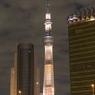 Sky tree1