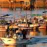 The　Fishermen　in　the Sunset