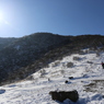 雪山