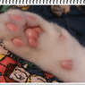 猫の手貸します！